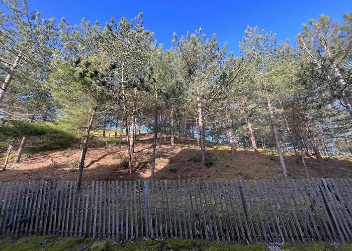 Sh210-06b - 2 Pièces 5 Couchages Hilaire De Riez *